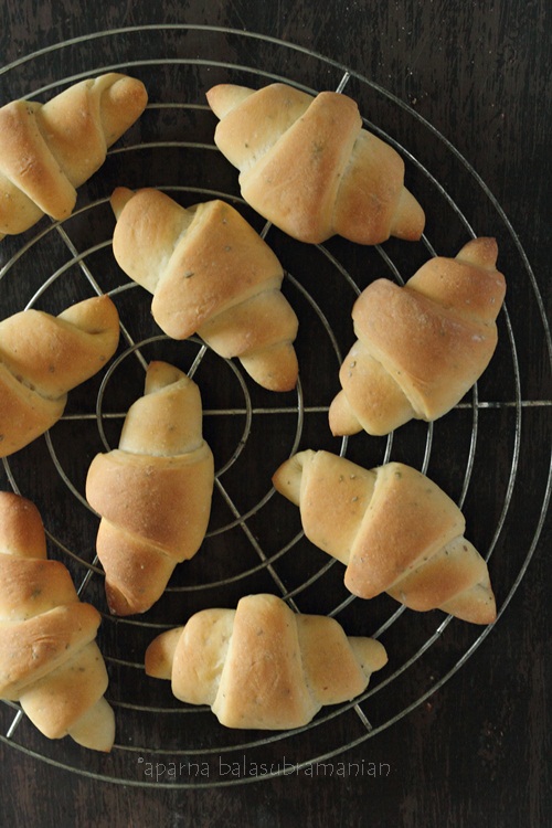 Easy Dinner Rolls