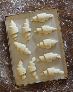 Dinner Rolls dough shaped