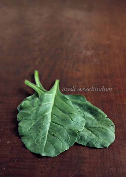 Spinach Leaves