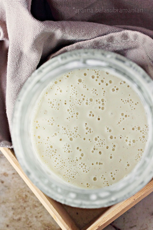 Green Grape Sourdough Starter