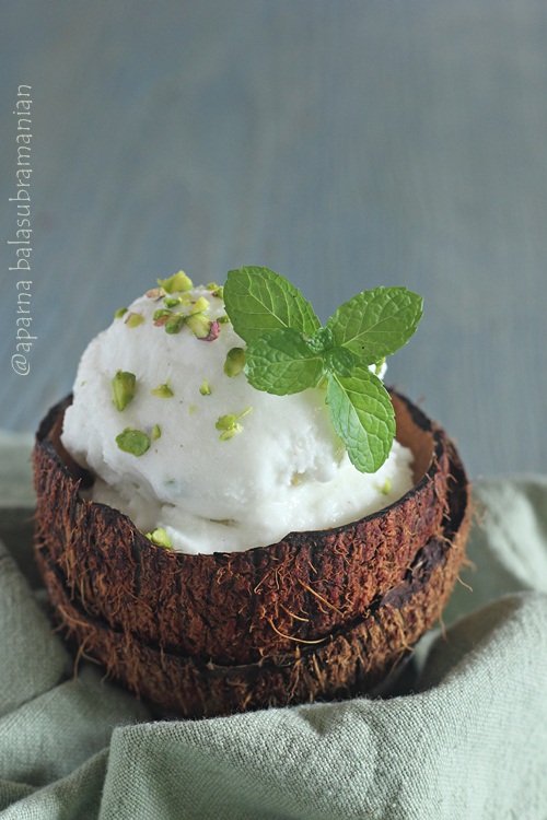 Vegan Coconut Gelato