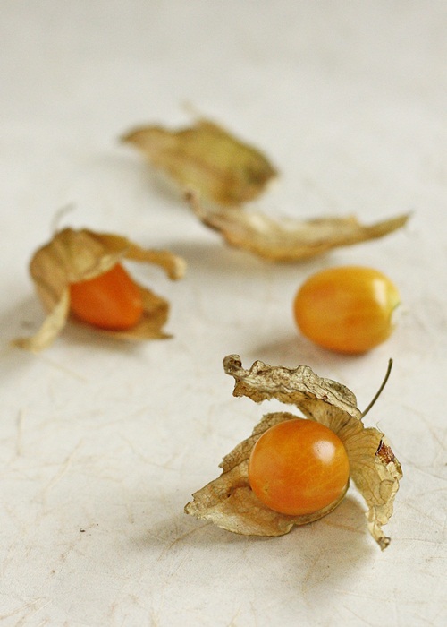 Cape Gooseberries